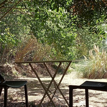 Les Restanques - chambre d'hôtes Cuges-les-Pins Extérieur photo